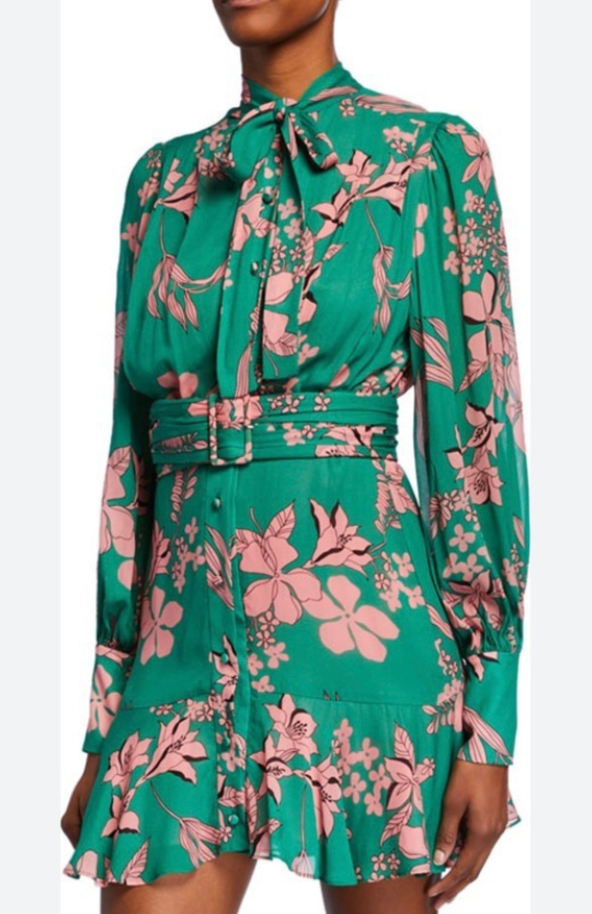 Winter Park Floral Lantern-Sleeve Dress